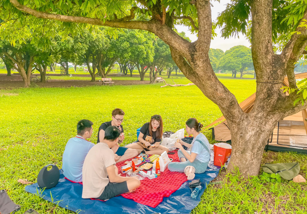 picnic culture_1