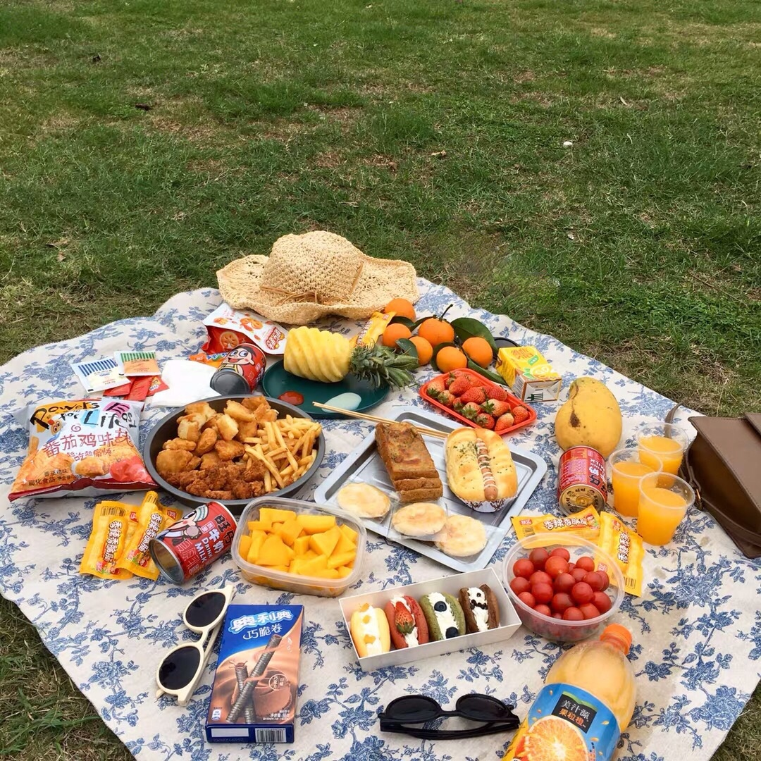 picnic culture_2