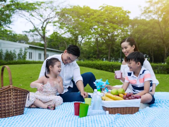 picnic culture_thumb
