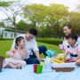 picnic culture_thumb
