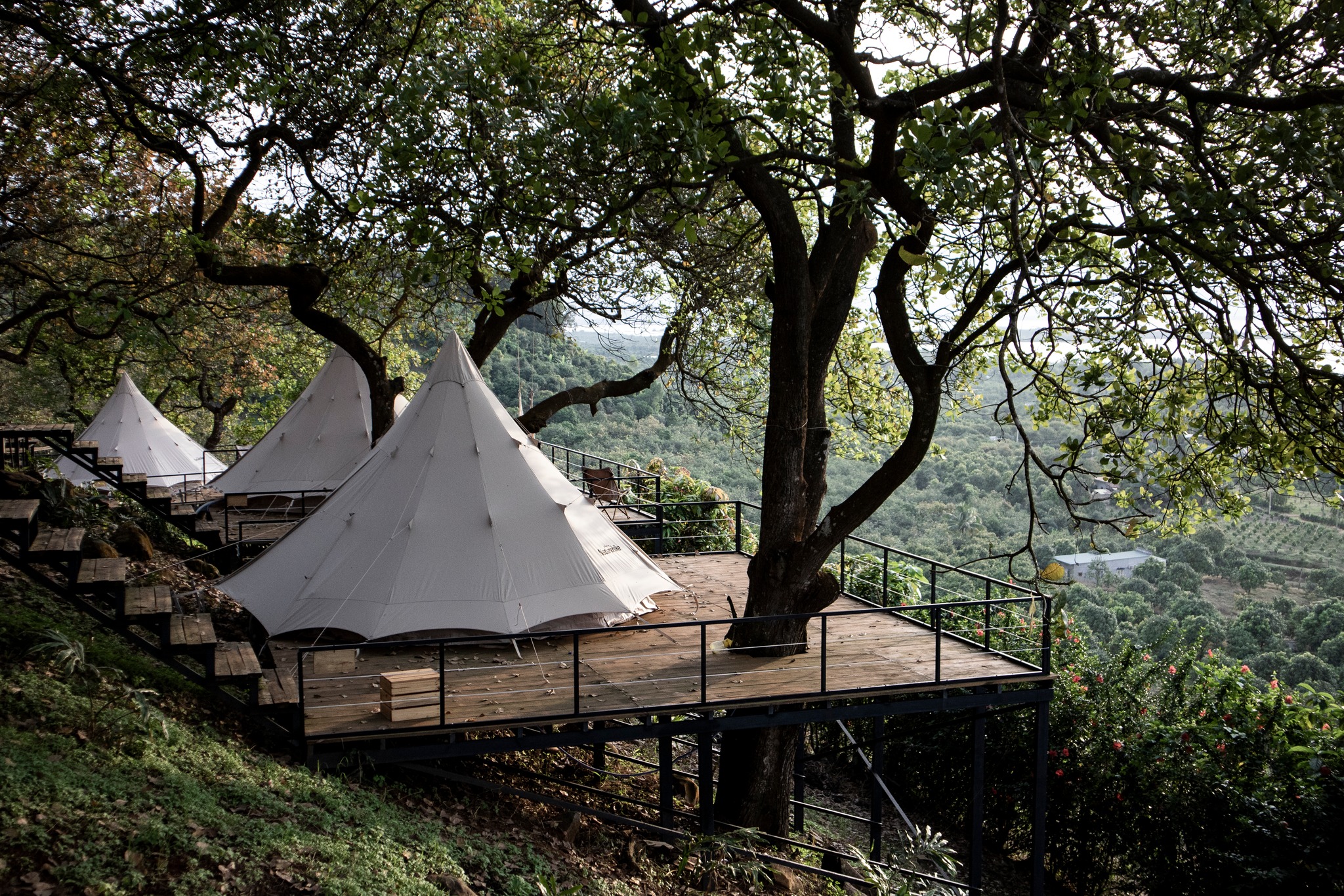 the evolution of glamping_1