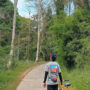 the joy of getting lost_1
