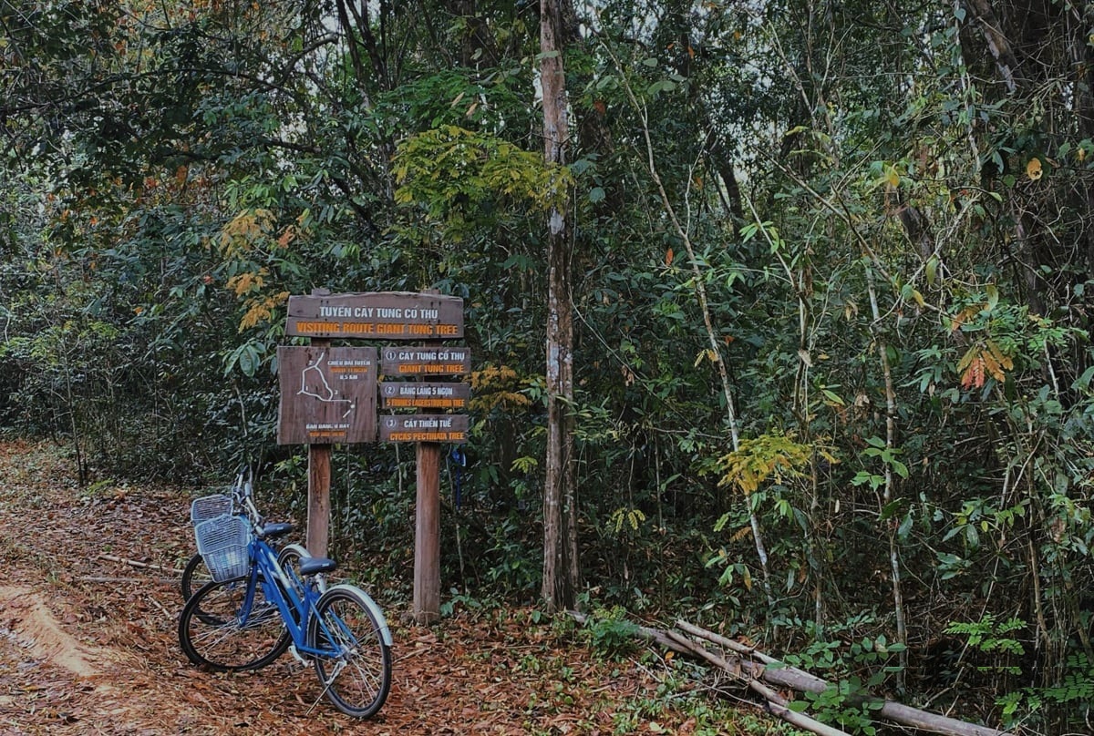 the joy of getting lost_4