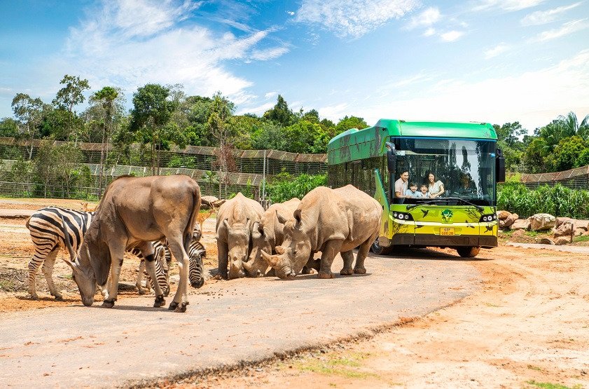 things to do in Phu Quoc with kids_2