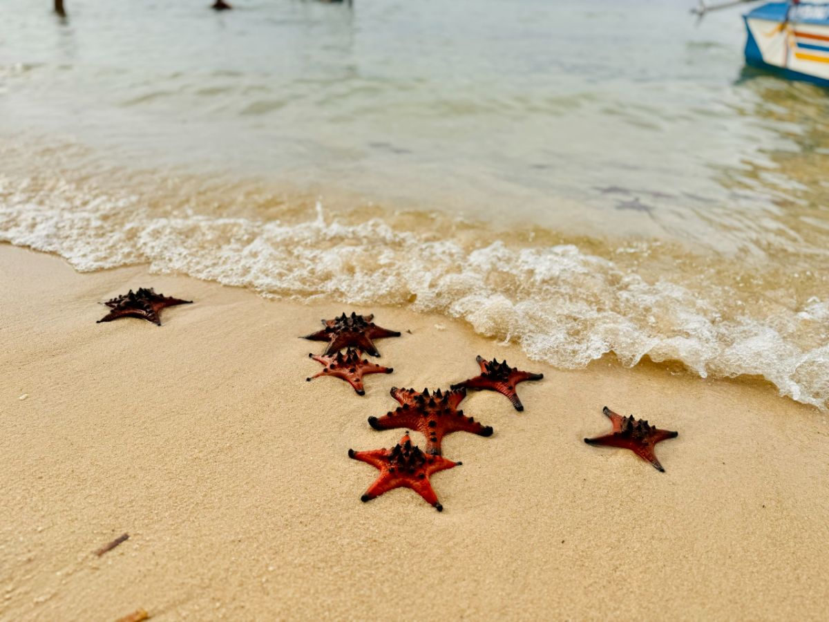 things to do in Phu Quoc with kids_5