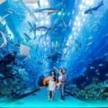 things to do in Phu Quoc with kids_thumb