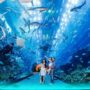 things to do in Phu Quoc with kids_thumb