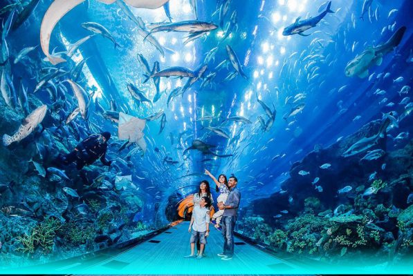 things to do in Phu Quoc with kids_thumb