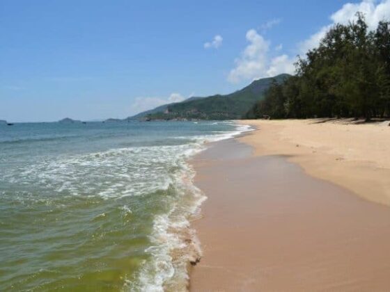 things to do in Quy Hoa with kids_thumb
