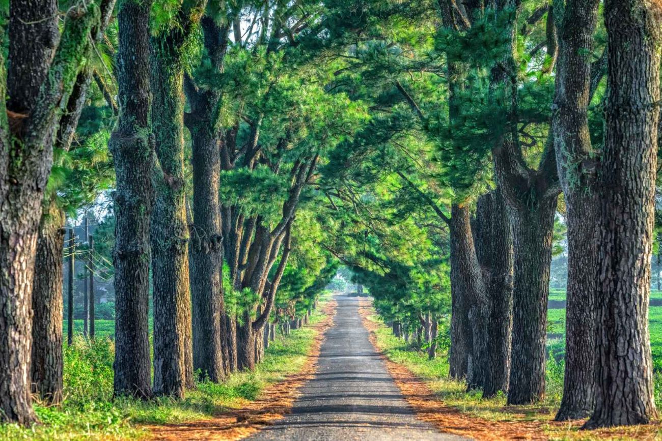 underrated hiking trails in Vietnam_2