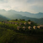 wellness travel in Vietnam_thumb