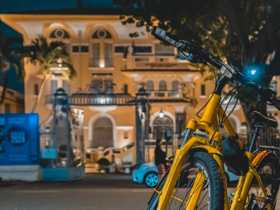 City Night Ride with Jackfruit Adventure