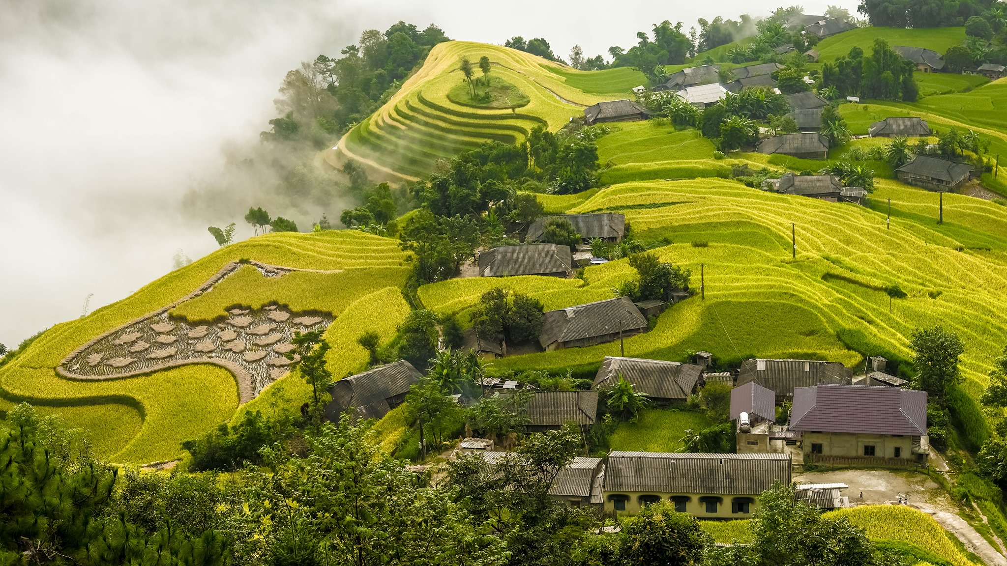 Hoàng Su Phì homestay_1