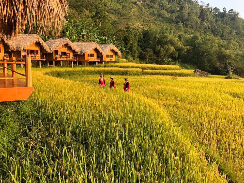 Hoàng Su Phì homestay_2