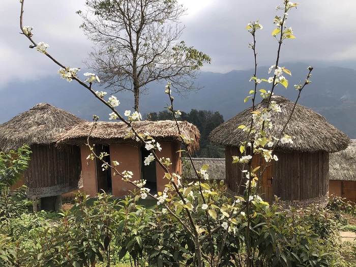 Hoàng Su Phì homestay_6