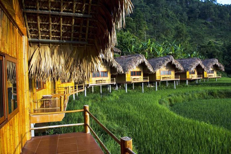 Hoàng Su Phì homestay_7