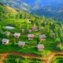 Hoàng Su Phì homestay_thumb