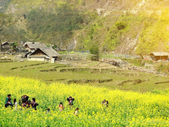 Vietnam wet season travel_thumb