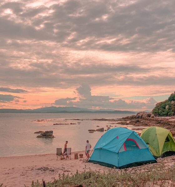 beach camping in Vietnam_cắm trại bãi biển ở Việt Nam