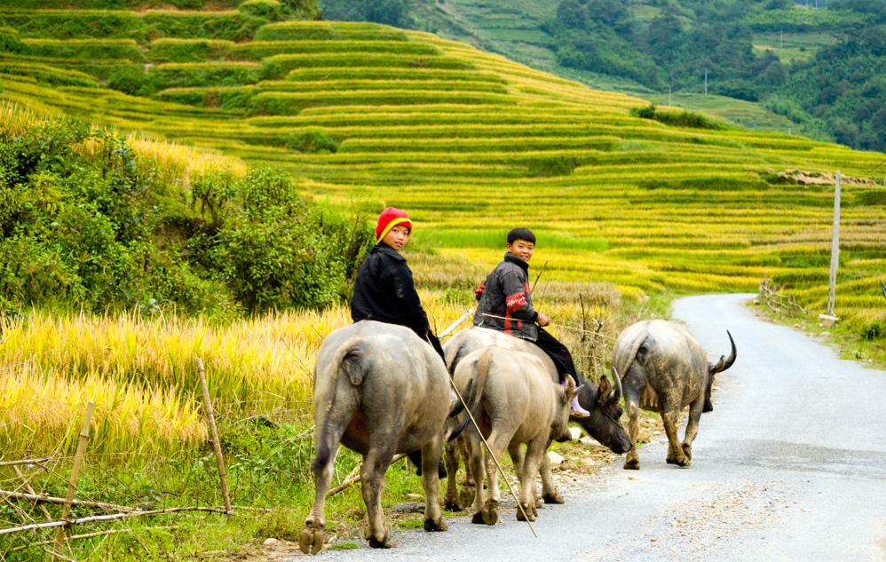 best trekking in Vietnam_1