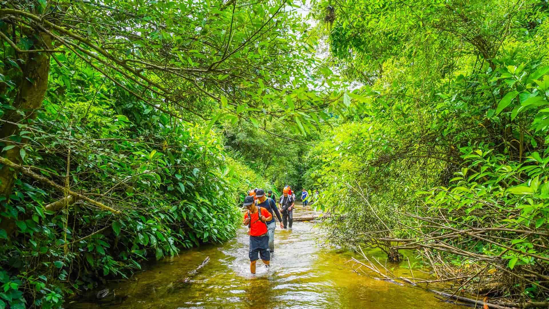 best trekking in Vietnam_3