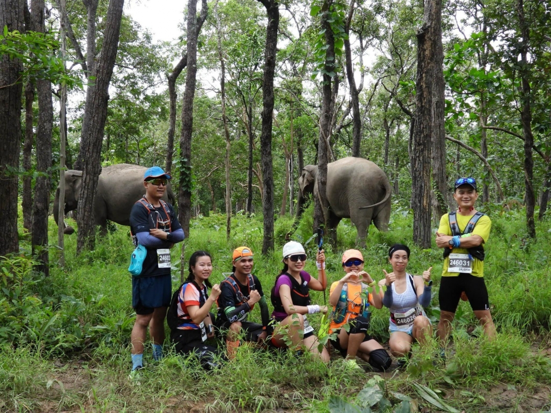 ethical elephant tourism Vietnam_5