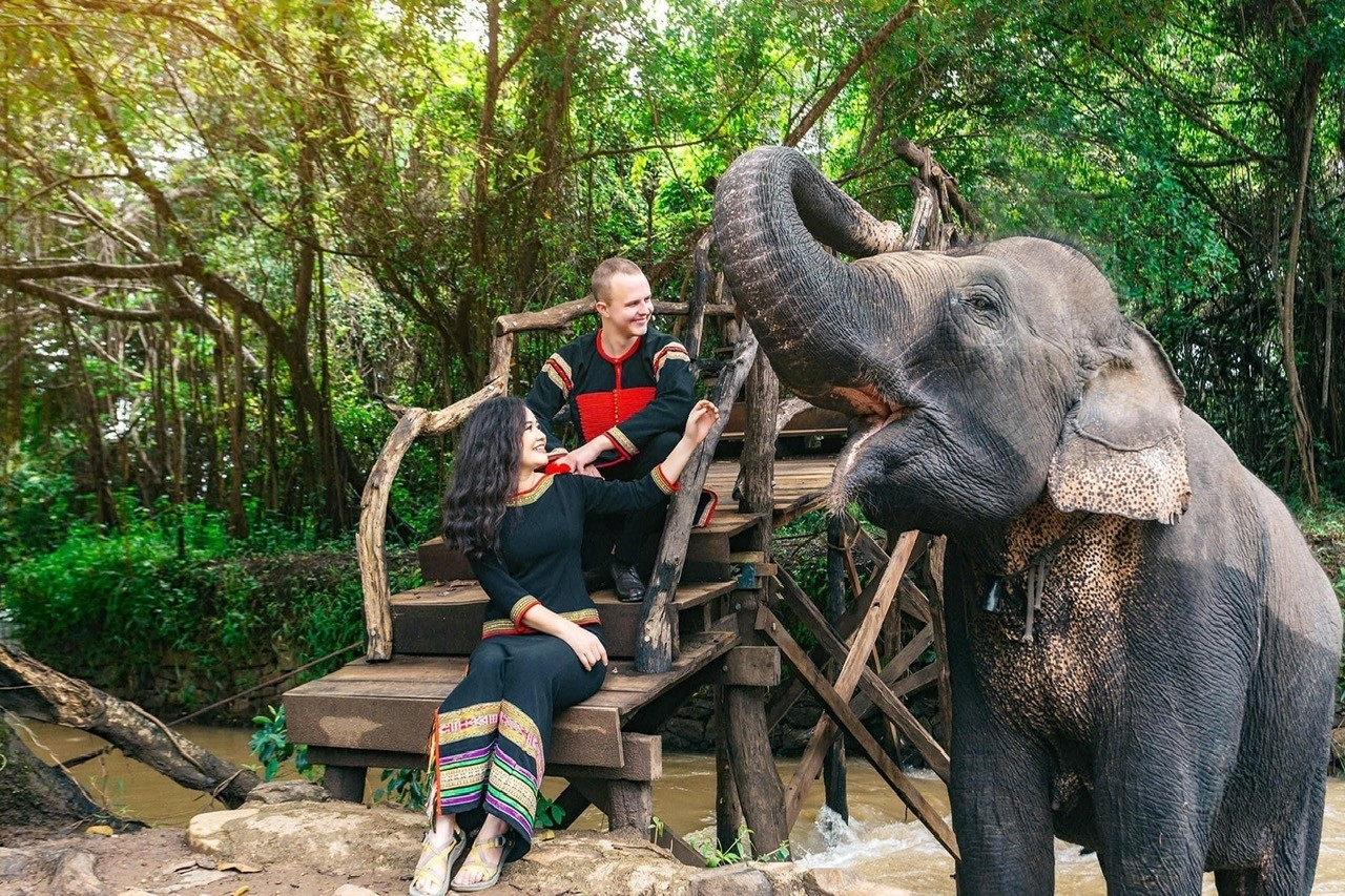 ethical elephant tourism Vietnam_7