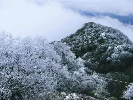 Phia Oắc National Park