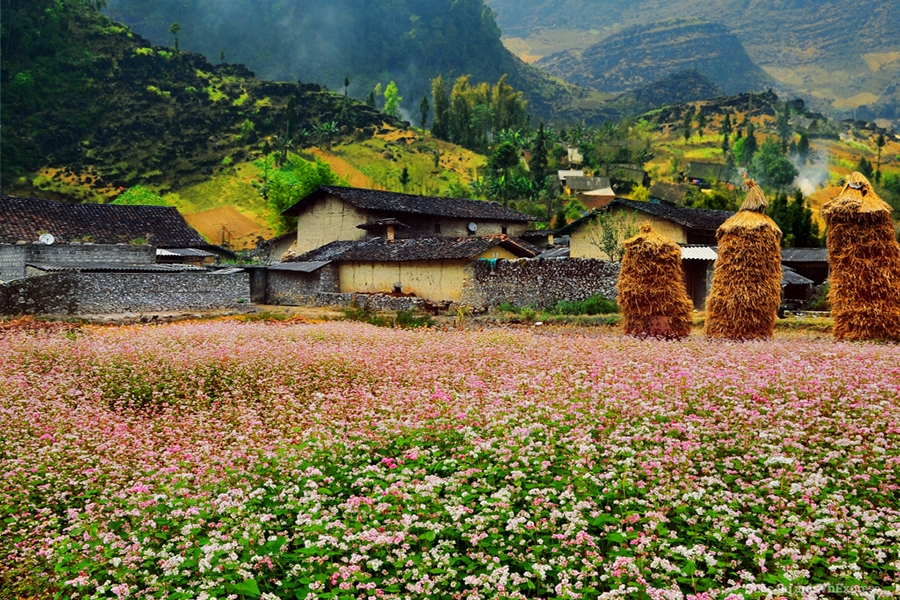 underrated destinations in Vietnam_thumb