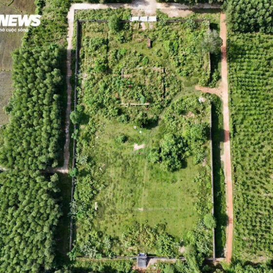 Thoai Thanh Royal Tomb in Hue
