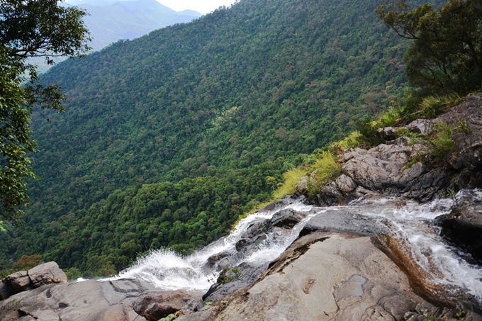 Bạch Mã National Park hiking_6