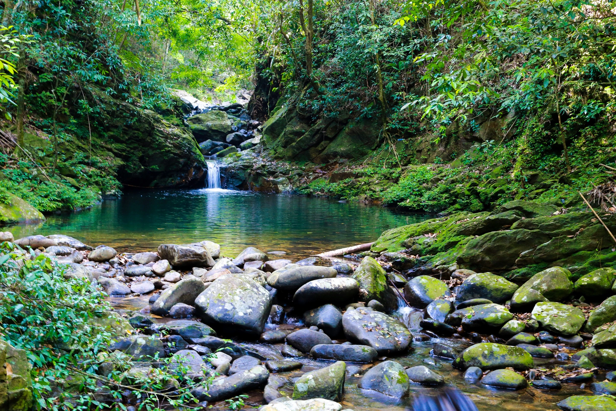 Bạch Mã National Park hiking_7