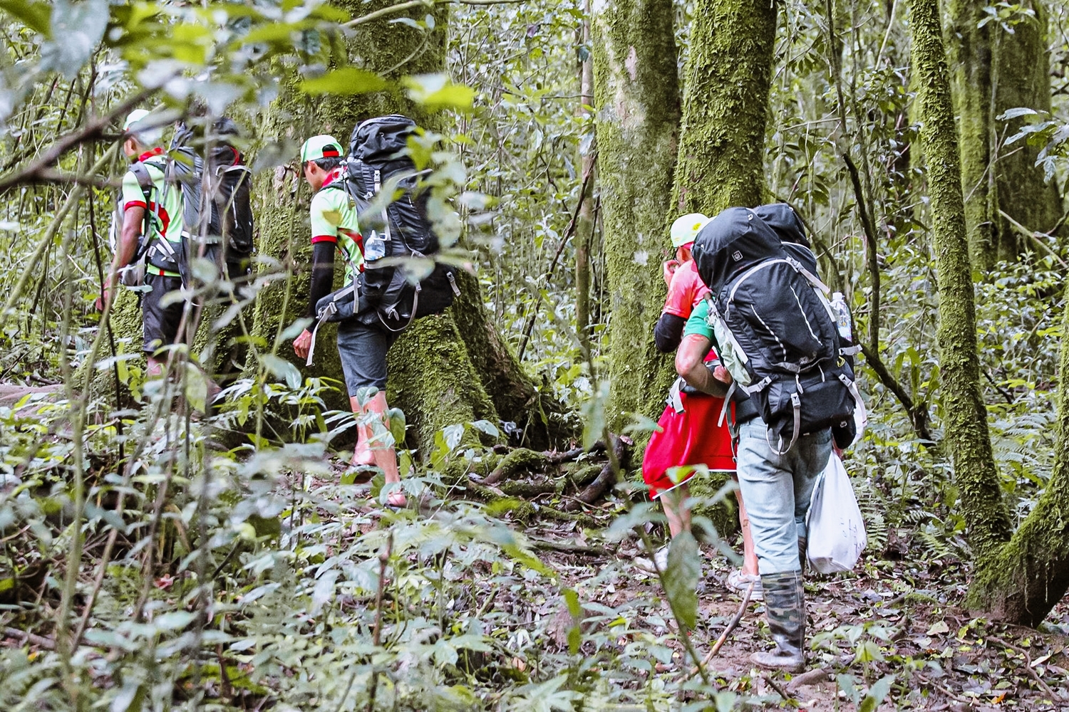 Bidoup Núi Bà trekking_2