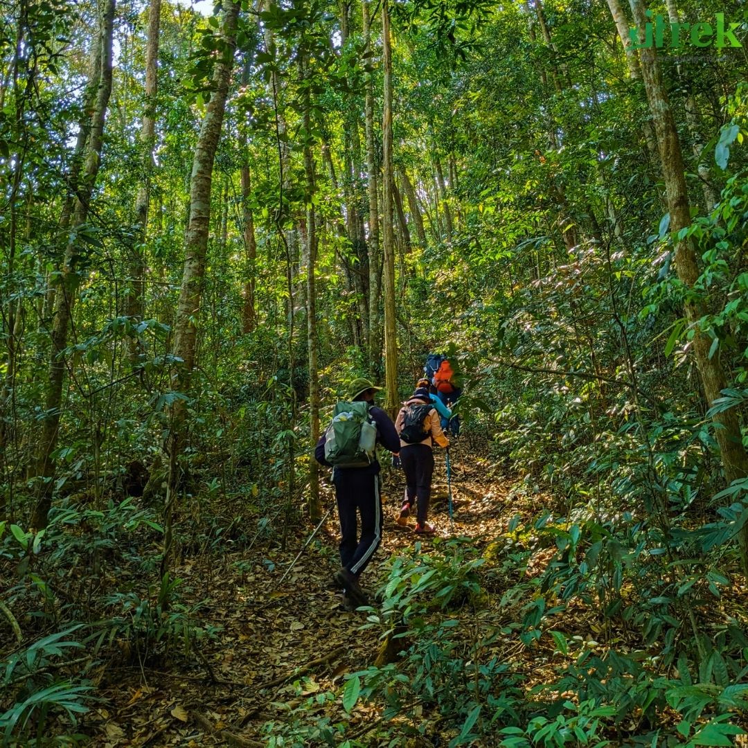 Bidoup Núi Bà trekking_3