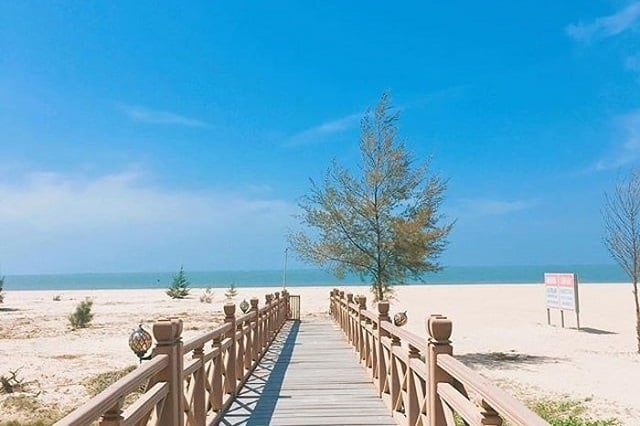Bình Châu bioluminescent beach_3