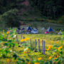 Chư Đăng Ya camping_1