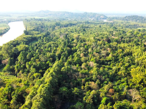 Vietnam jungle wildlife_1