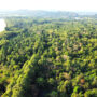 Vietnam jungle wildlife_1