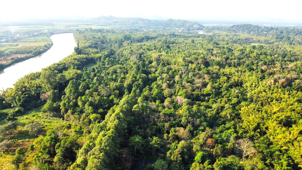 Vietnam jungle wildlife_1
