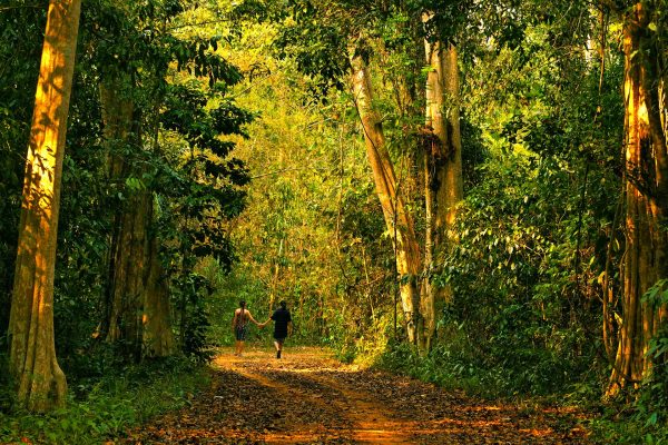 Vietnam jungle wildlife_3