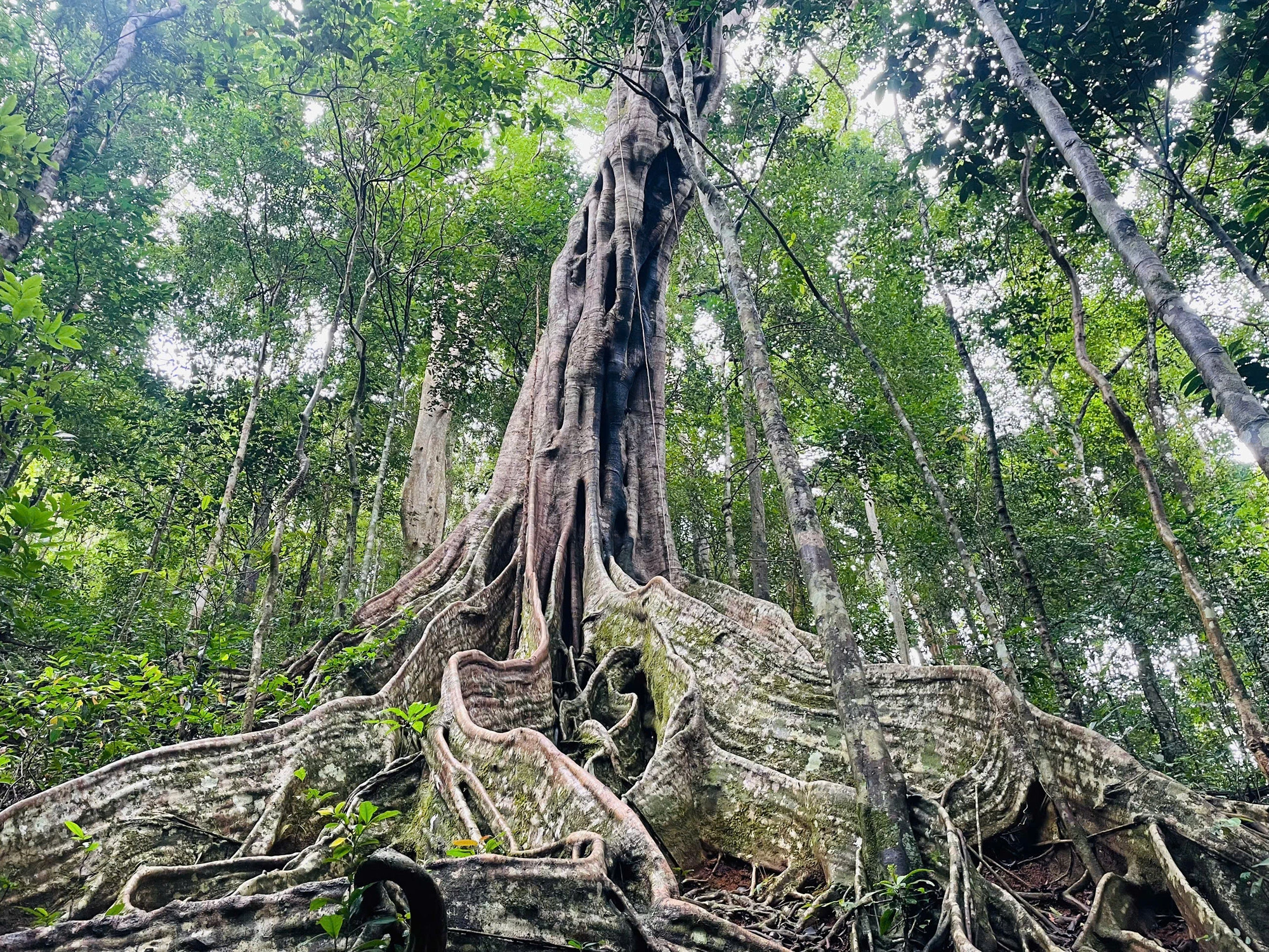 Kon Ka Kinh National Park