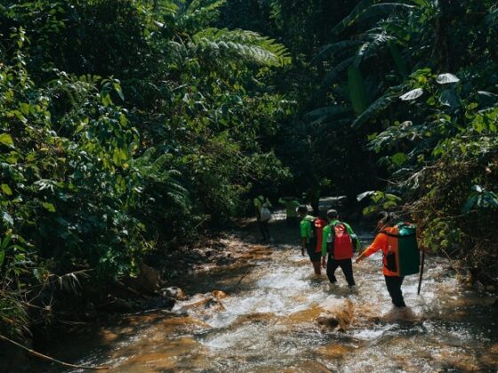 solo vs group trekking in Vietnam_thumb