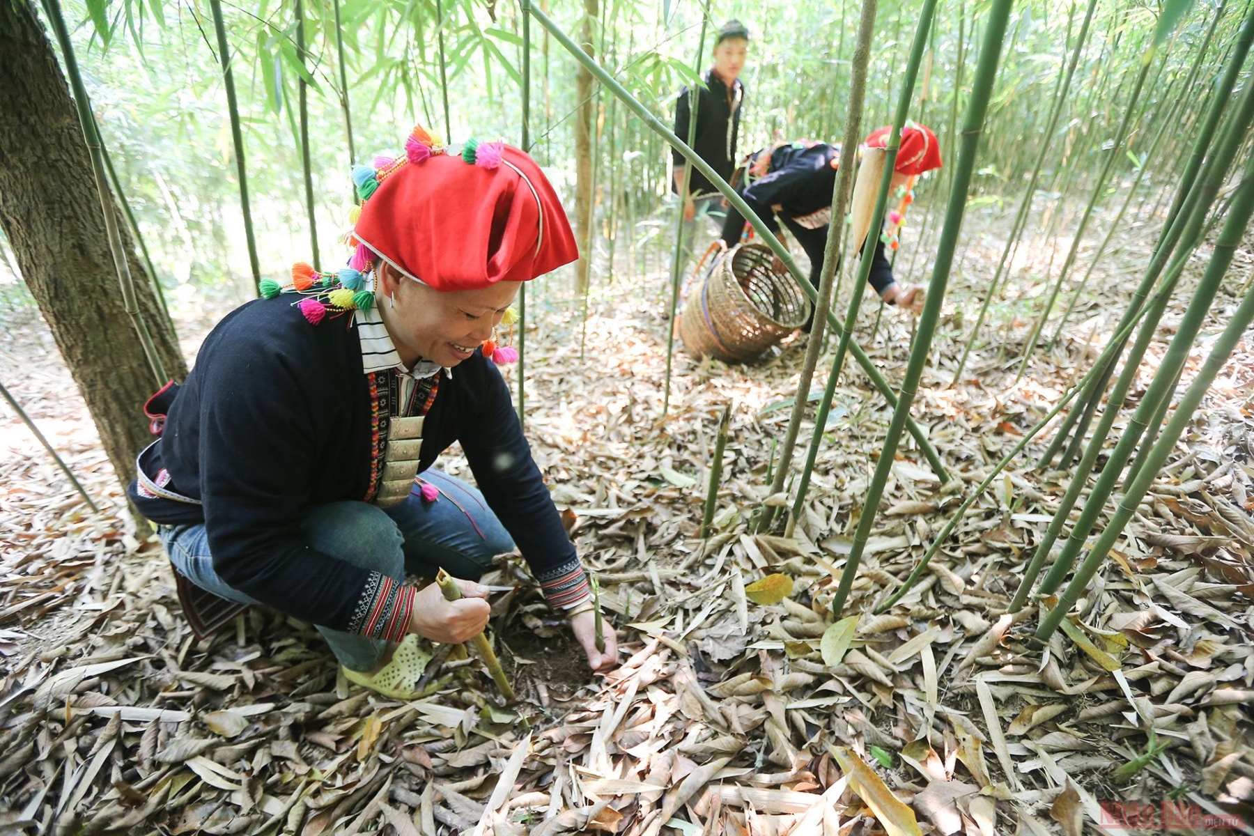 traditional Vietnamese hiking gear_3