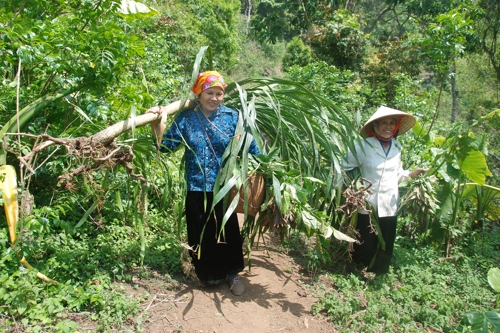 traditional Vietnamese hiking gear_4