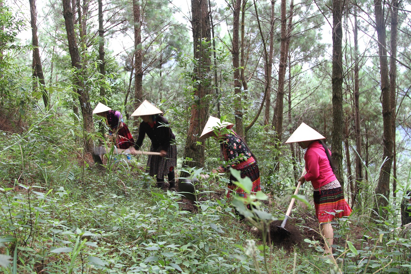 traditional Vietnamese hiking gear_5