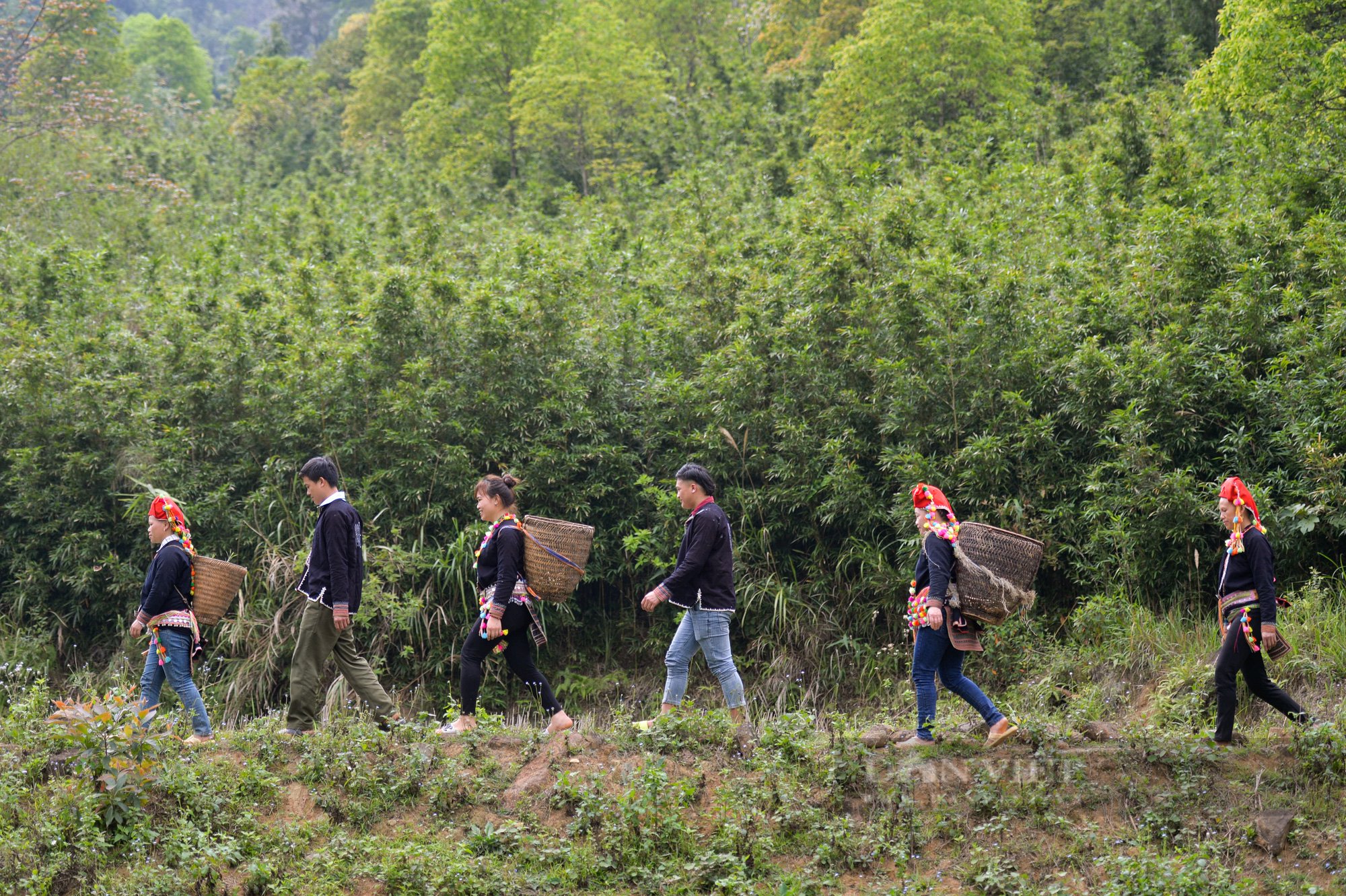 traditional Vietnamese hiking gear_7
