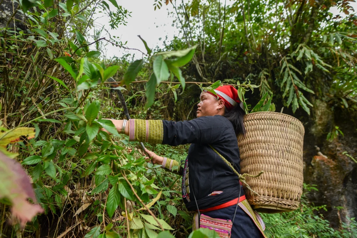 traditional Vietnamese hiking gear_thumb