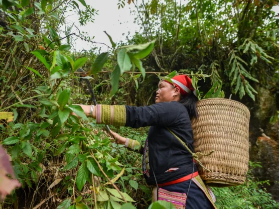traditional Vietnamese hiking gear_thumb