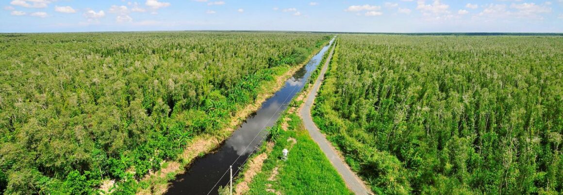 Vườn Quốc gia U Minh Hạ