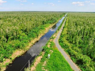 Vườn Quốc gia U Minh Hạ_U Minh Ha National Park